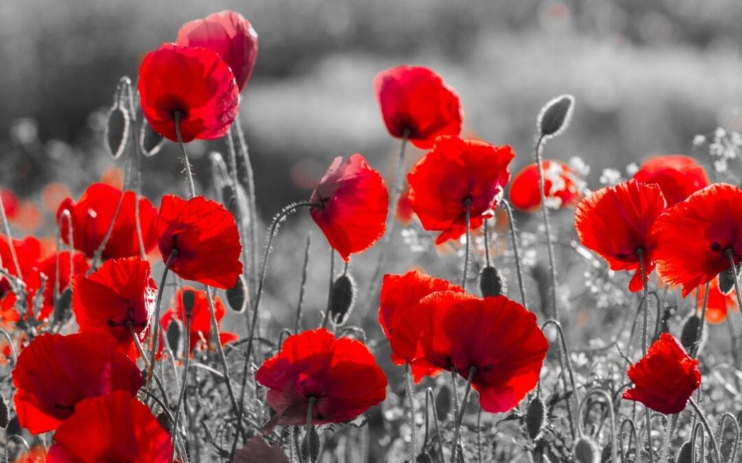 Mail Delivery Challenges – How to Plan for the Uncontrollable