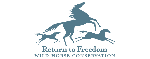 Return to Freedom Logo – Color